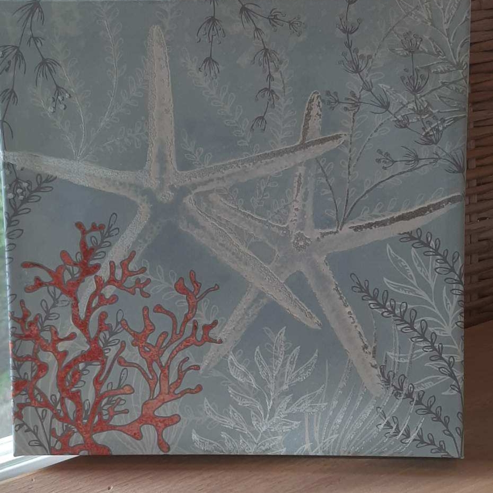 Coastal Starfish and Coral Wall Art